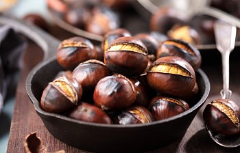 chestnut