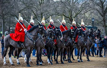 cavalry