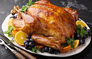 turkey