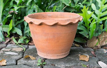 pot