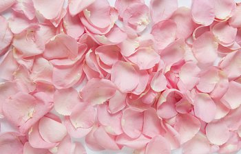 petal