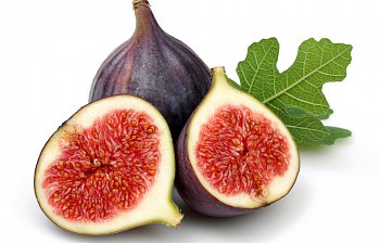 fig