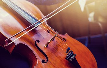 cello