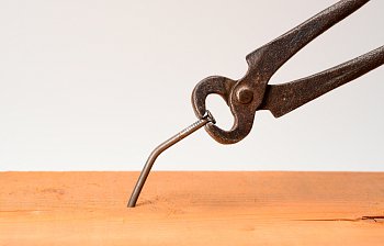 pincers