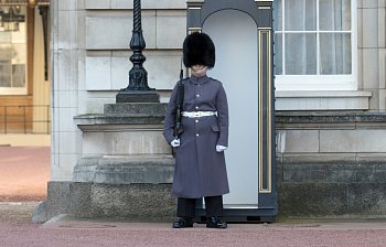 sentry