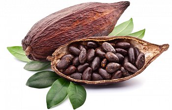 bean