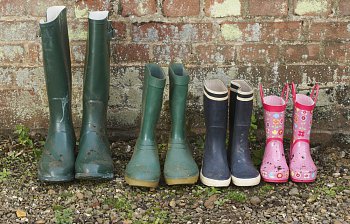 wellingtons
