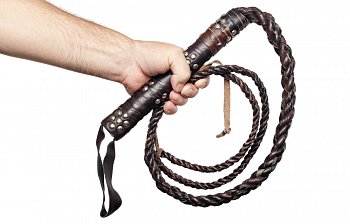 whip
