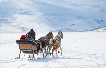 sleigh