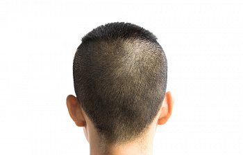 crew cut