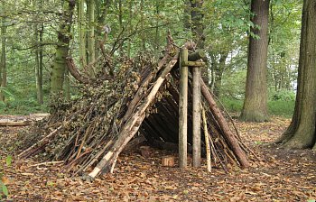 shelter