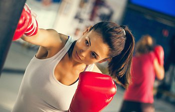 boxer