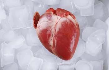 heart