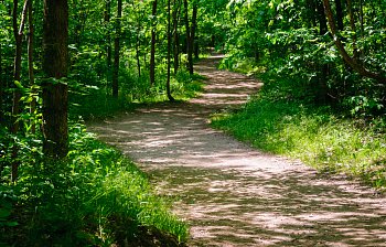 trail