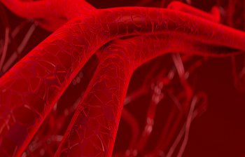 vein