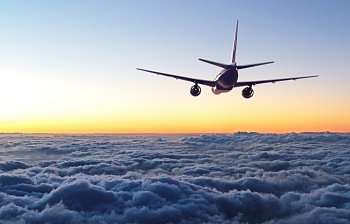 fly