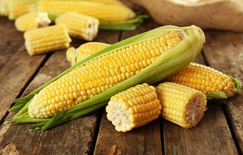 corn