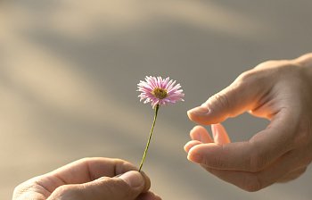 give