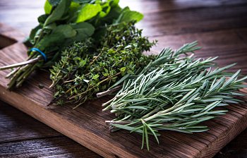herb