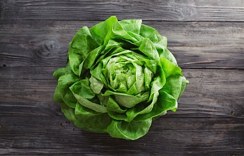 lettuce