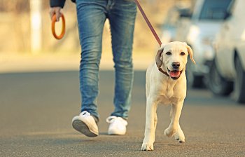 walk