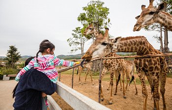 zoo