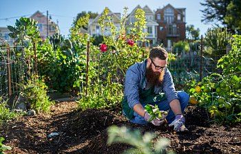 gardener