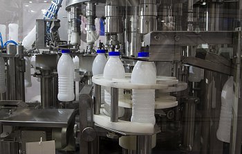 dairy