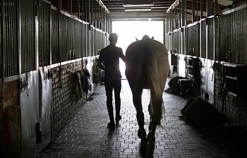 stable