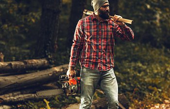 lumberjack