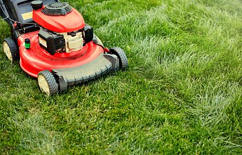 lawnmower
