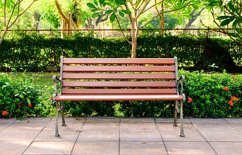 bench