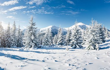 snow