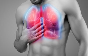 lungs
