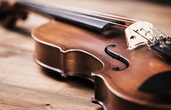 violin