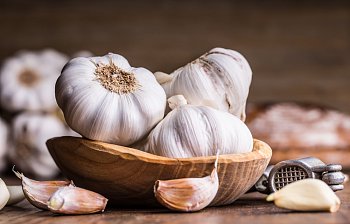 garlic
