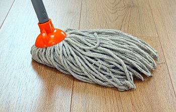 mop