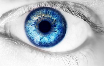 iris
