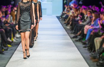 cat walk