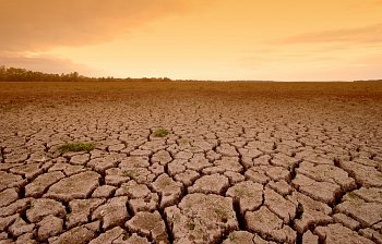 dry