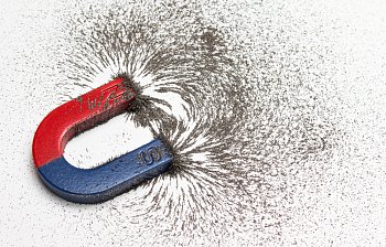 magnet