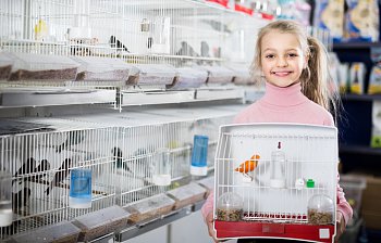 pet shop