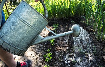 watering can