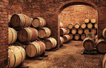 cellar
