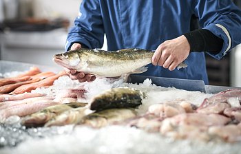 fishmonger's
