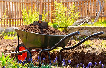 wheelbarrow