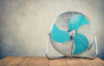 fan