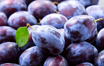 plum