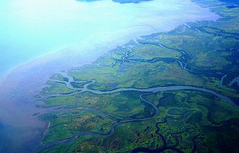 delta