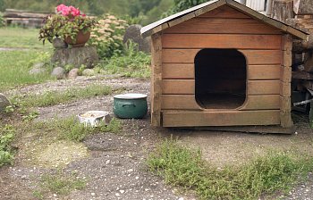 kennel